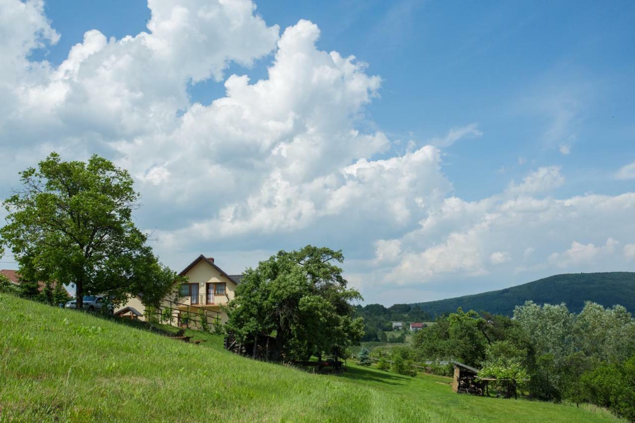 Nad Zalewem Villa Jaszczurowa Buitenkant foto