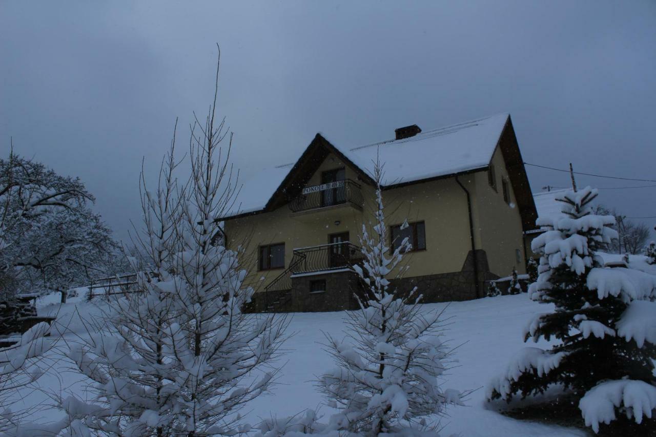 Nad Zalewem Villa Jaszczurowa Buitenkant foto