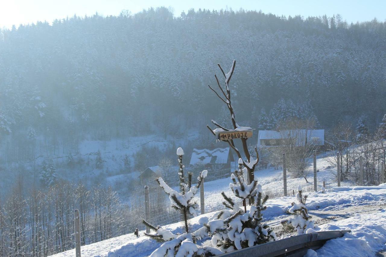 Nad Zalewem Villa Jaszczurowa Buitenkant foto