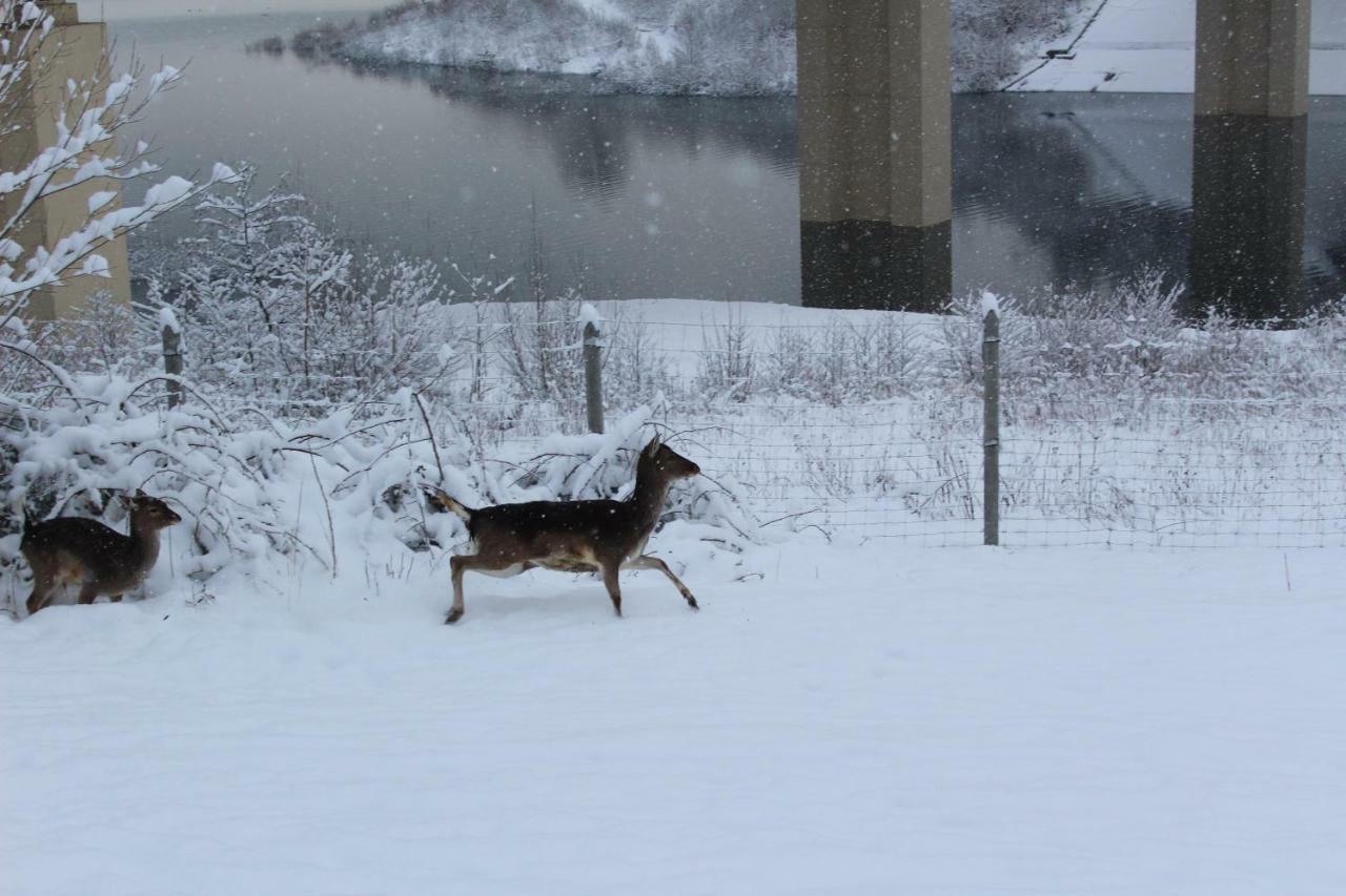 Nad Zalewem Villa Jaszczurowa Buitenkant foto